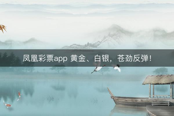 凤凰彩票app 黄金、白银,苍劲反弹!