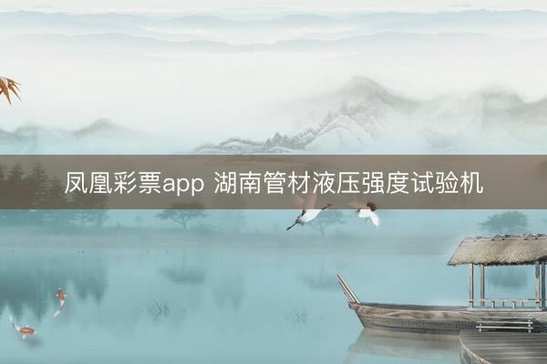 凤凰彩票app 湖南管材液压强度试验机