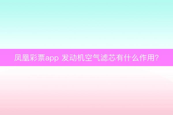凤凰彩票app 发动机空气滤芯有什么作用？